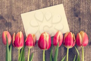 Seven tulips and blank card for copy-space