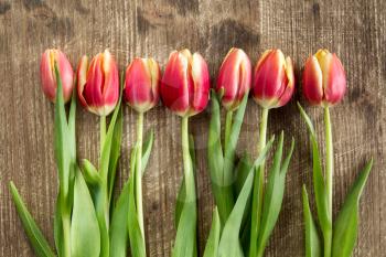 Seven tulips on a wooden background, symbolizing spring holidays