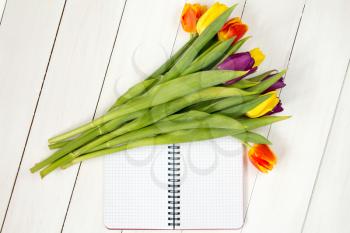 Tulip flowers and notebook  on white wooden background. Flat lay. Top view.