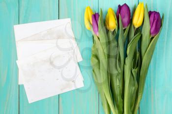 Bouquet of colorful tulips with blank cards on a blue wooden background. Copy-space.