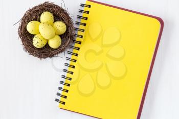 Nest with painted Easter Eggs and blank notebook for copy-space