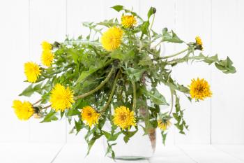 Dandelion flower with leaves and root placed in jar with water 
