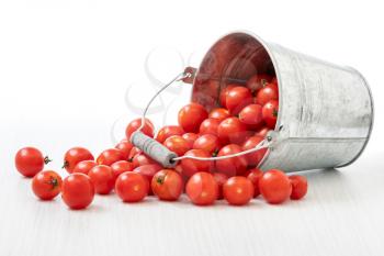 Organic tomatoes spilled out from metal bucket