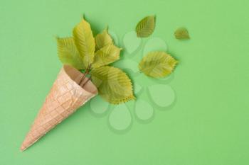 Leaves in a waffle cone on a green background. Eco food concept.  Flat lay, top view.