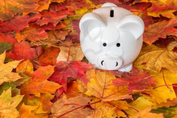 White ceramic piggy bank with autumn foliage