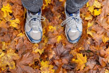 Feet in running shoes in the autumn leaves. Autumn sport concept
