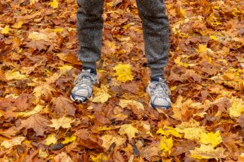 Feet in running shoes in the autumn leaves. Sport in autumnal forest