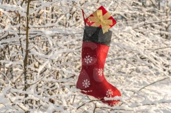 Christmas stocking hanging outside on the tree with snow