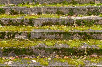 Old concrete stairs overgrown with green moss. Ancient staircase of an old building.