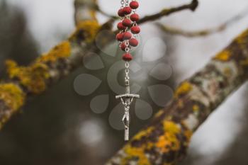 Rosary hanging on the tree branch. Concept of faith and belief