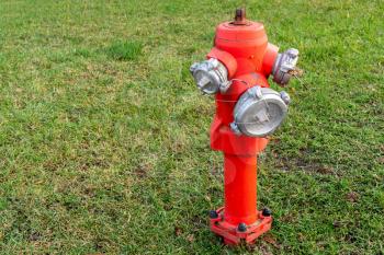 A bright red fire hydrant stands on a green lawn