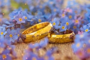 Wedding rings with beautiful forget-me-not flowers. Close-up view