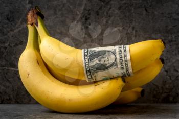 Bunch of ripe banana with american dollar. Conceptual image.