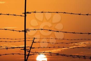Silhouette of barbed wire fence on sunset background