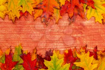 Autumn frame for your idea and text. Autumn fallen dry leaves laid out on an old wooden board. The pattern of autumn.
