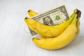 Bunch of yellow bananas with American currency. Conceptual image.
