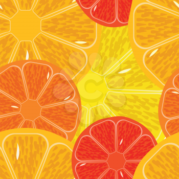 Royalty Free Clipart Image of Citrus Fruits