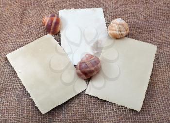 Three cards on sack decorated with cockleshells