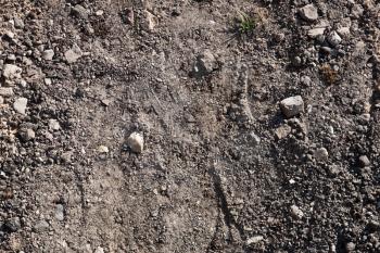 Pattern of soil texture or background
