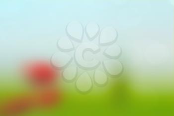 Abstract nature background in the field,