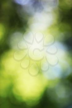 Abstract nature background with sun light