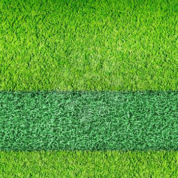 Two types of football grass