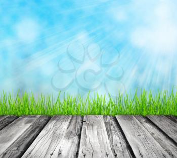 Green spring background with young grass and wooden walkway