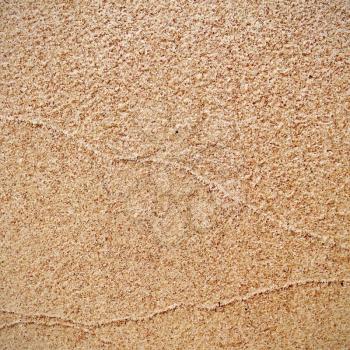 Pattern of the sand surface