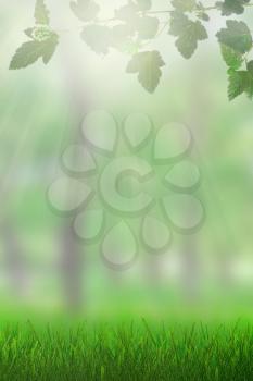 Natural growing grass on forest spring background