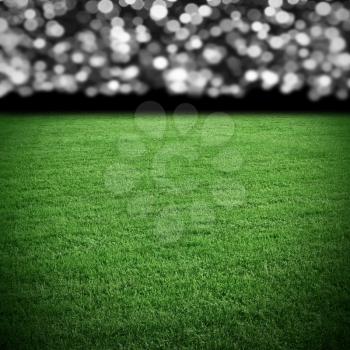 Soccer grass field in the stadium