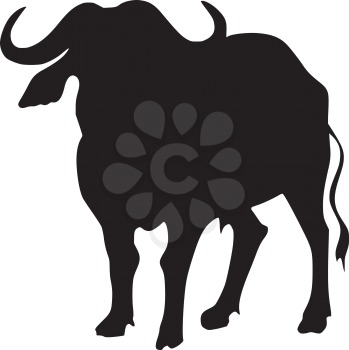 silhouette of african buffalo