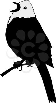 silhouette of yellowhammer