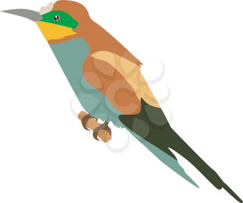 Illustration of bee-eater