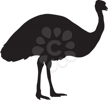 silhouette of emu