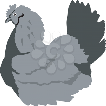 Illustration of hen