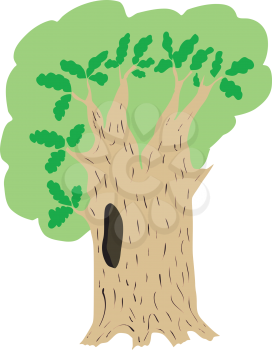 The illustration with a cartoon colored oak