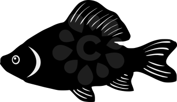 silhouette of the crucian on white background