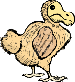 hand drawn illustration of the dront, extinct bird