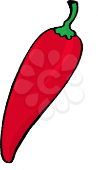 hand drawn, vector illustration of red pepper