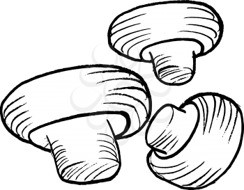 hand drawn, vector illustration of the champignons