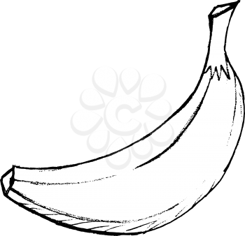 Hand drawn, vector, cartoon illustration of banana
