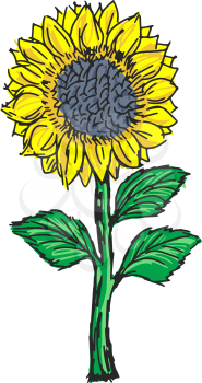 Royalty Free Clipart Image of a Sunflower