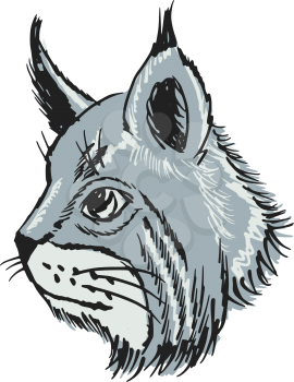 hand drawn, sketch, cartoon illustration of lynx