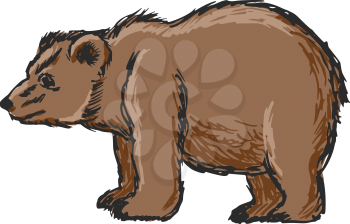 hand drawn, sketch, cartoon illustration of bear