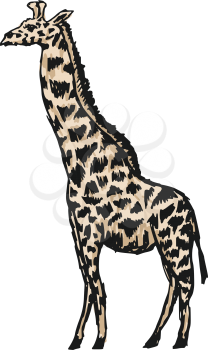sketch, doodle illustration of giraffe