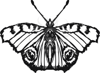 hand drawn, sketch, doodle illustration of butterfly