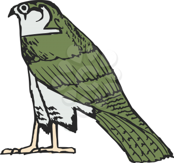 sketch illustration of falcon, ancient Egyptian symbol