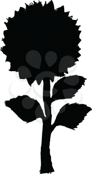 black silhouette of sunflower