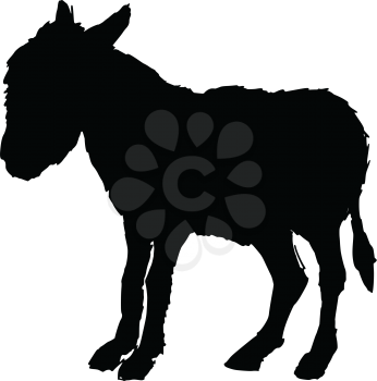 black silhouette of donkey