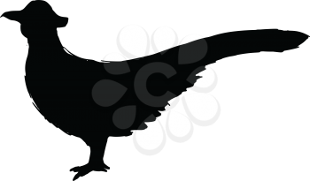 black silhouette of pheasant